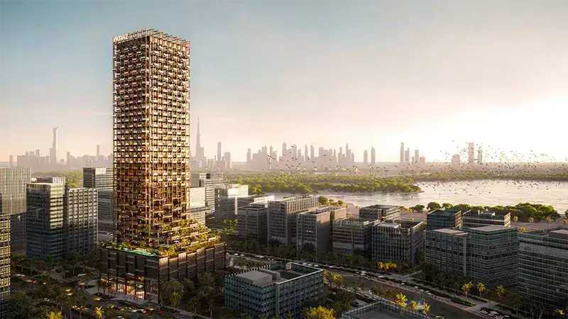 The Symphony by Imtiaz